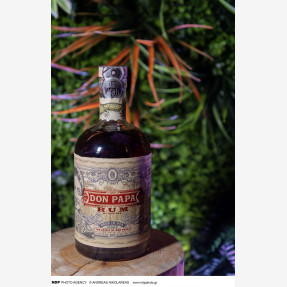 Ήταν όλοι εκεί! Στο Pre - Christmas “Sugarlandia” Party του premium “Don Papa Rum”!