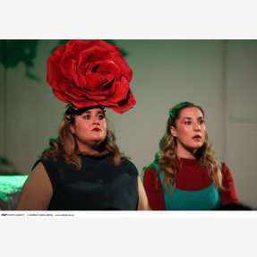 Θέατρο Αθηνών-Πρεμιέρα παιδικής παράστασης «Ταξίδι στην Ανθοχώρα»