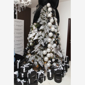 Charity Xmas Event του κορυφαίου ομίλου ομορφιάς “Hollywood Clinic”, στηρίζοντας το σωματείο “Δεν Υπάρχουν Άνθρωποι με Ειδικές Ανάγκες - Μόνο Άνθρωποι (ΔΥΑΜΕΑ)”, που πραγματοποιήθηκε στη Θεσσαλονίκη!