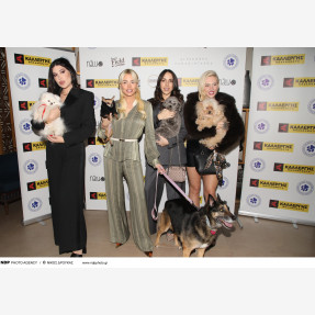 Η Αλεξάνδρα Παναγιώταρου και το “Alexandra Panagiotarou Shop” γιόρτασαν την “National Love Your Pet Day” στηρίζοντας την “Πανελλήνια Ομάδα Κατά της Κακοποίησης των Ζώων” με αρωγό της εκδήλωσης την εταιρεία “Kallergis Machines”!