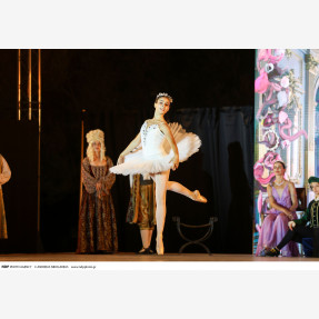 Nasioutzik Mansion-GRAND BALLET GALA