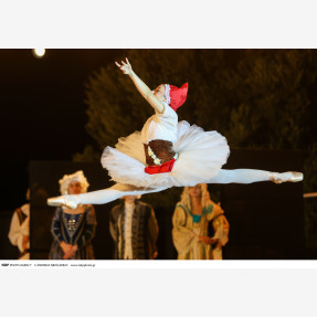 Nasioutzik Mansion-GRAND BALLET GALA