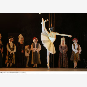 Nasioutzik Mansion-GRAND BALLET GALA