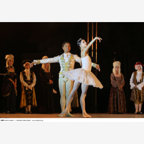 Nasioutzik Mansion-GRAND BALLET GALA