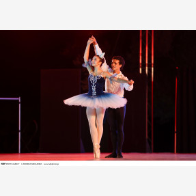 Nasioutzik Mansion-GRAND BALLET GALA
