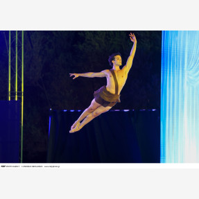 Nasioutzik Mansion-GRAND BALLET GALA