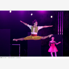 Nasioutzik Mansion-GRAND BALLET GALA